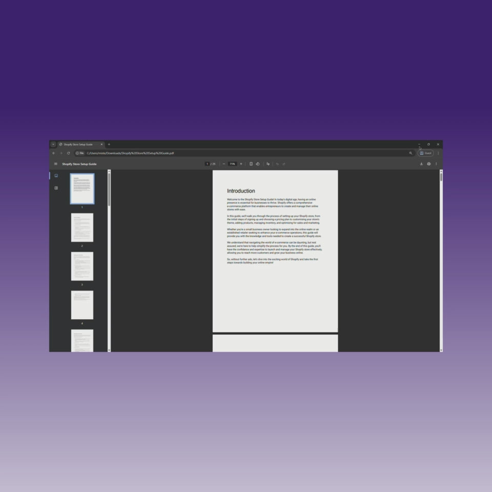 Shopify Store Setup Guide